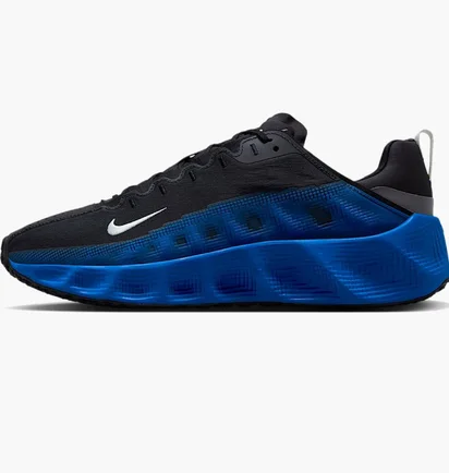 Кросівки чоловічі Nike Ava Rover Black/Blue DX4215-008