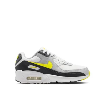 Кроссовки детские Nike Air Max 90 White IQ0098-100