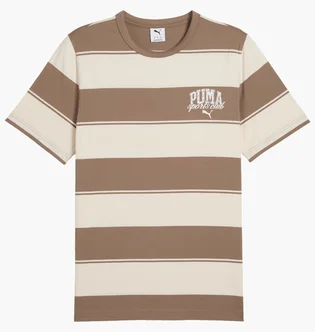 Футболка мужская Puma Class Stripe Aop Beige/Brown 684657-93