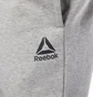 Штани чоловічі Reebok Elements Fleece Closed Cuff Grey D94219