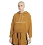 Худи женское Nike Dri-Fit Swoosh Fly Standard Issue Womens Brown DA6483-712
