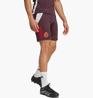 Шорти чоловічі Adidas Fc Bayern Tiro 24 Training Bordo IS9949