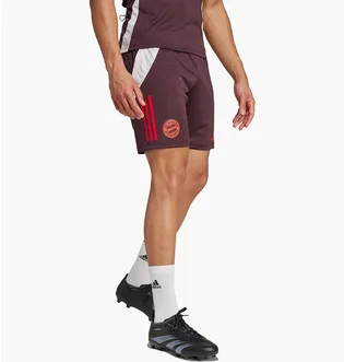 Шорты мужские Adidas Fc Bayern Tiro 24 Training Bordo IS9949