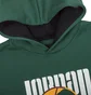 Худи мужское Air Jordan M J Sprt Dna Hbr Flc Po Green DC9639-333