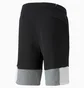 Шорты мужские Puma Ess+ Block Black 847429-01