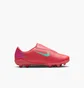 Бутсы детские Nike Mercurial Vapor 16 Club Mg Red FQ8290-800