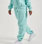 Штаны женские Air Jordan Brooklyn Fleece Pants Light Blue FV7077-368