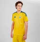 Футболка мужская Adidas Ukraine 24 Performance Yellow IK2251