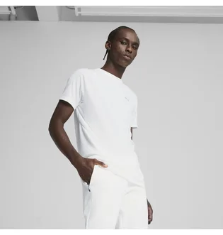 Футболка мужская Puma Evostripe Tee White 684611-02