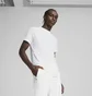 Футболка мужская Puma Evostripe Tee White 684611-02