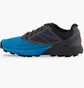 Кроссовки мужские Dynafit Alpine Black/Blue 64064-0752