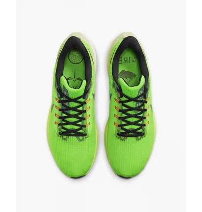 Кроссовки мужские Nike Air Zoom Pegasus 39 Green Dz4776-343