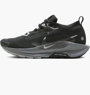 Кроссовки женские Nike Pegasus Trail 5 Gore-Tex Black FQ0912-001
