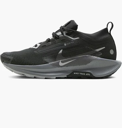 Кросівки жіночі Nike Pegasus Trail 5 Gore-Tex Black FQ0912-001