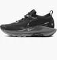 Кросівки жіночі Nike Pegasus Trail 5 Gore-Tex Black FQ0912-001