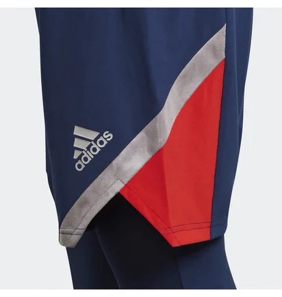 Шорты мужские Adidas Tan Blue FS5056