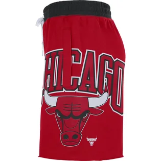 Шорти чоловічі Nike Chicago Red DB1945-657