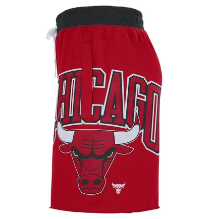 Шорты мужские Nike Chicago Red DB1945-657