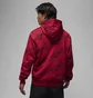 Худи мужское Air Jordan Ess Aop Flc Po Red FB7318-619