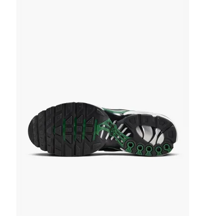 Кросівки чоловічі Nike Air Max Plus Shoes Black DM0032-009