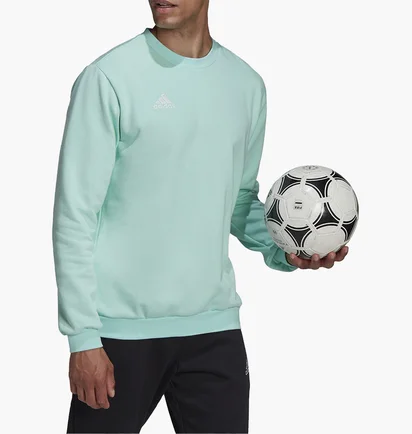 Свитшот мужской Adidas Sweatshirt Ent22 Sw Top Turquoise HC5047