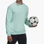 Свитшот мужской Adidas Sweatshirt Ent22 Sw Top Turquoise HC5047