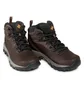 Ботинки мужские Columbia Newton Ridge Plus 1 Brown BM3970-232