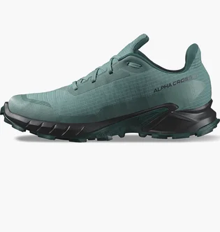 Кроссовки женские Salomon Alphacross 5 Gtx Blue L47595000