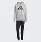 Спортивний костюм чоловічий Adidas Big Logo Terry Track Suit Grey Ic6749