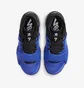 Кроссовки детские Air Jordan Zion 2 Hyper Royal Blue/Black DV0739-410