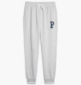 Штани чоловічі Puma Squad Sweatpants Grey 676019-04