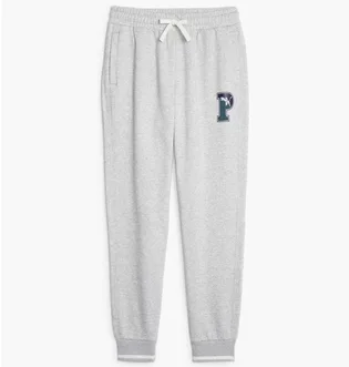 Штаны мужские Puma Squad Sweatpants Grey 676019-04