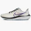 Кроссовки женские Nike Pegasus 39 White Dh4072-006