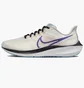 Кросівки жіночі Nike Pegasus 39 White Dh4072-006