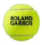 Тенісний м'яч Wilson Roland Garros All Ct 4 Green WRT116400