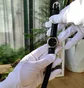 Часы женские Casio Timeless Collection Df LTP-V006L-1B