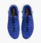 Кроссовки мужские Nike Free Metcon 5 Blue DV3949-400