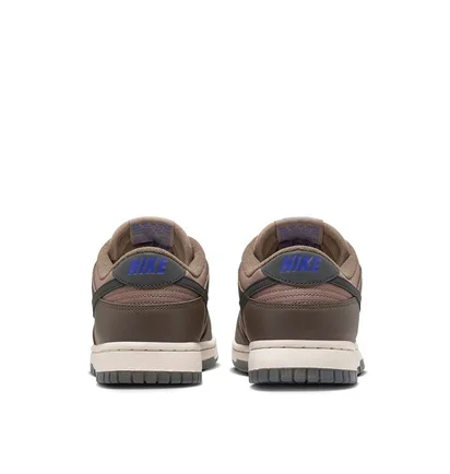 Кроссовки женские Nike Dunk Low W Brown FZ2552-001