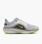 Кроссовки мужские Nike Winflo 11 Gore-Tex Grey FQ1358-005
