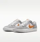 Кросівки чоловічі Nike Sb Force 58 Grey DV5477-007
