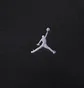 Женская толстовка Air Jordan Essentials MenS Full-Zip Fleece Hoodie Black FJ7771-010
