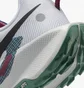 Кросівки жіночі Nike Pegasus Trail 5 Trail Running Shoes White DV3865-100