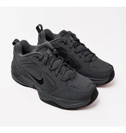 Кроссовки мужские Nike Air Monarch Iv Grey 415445-020
