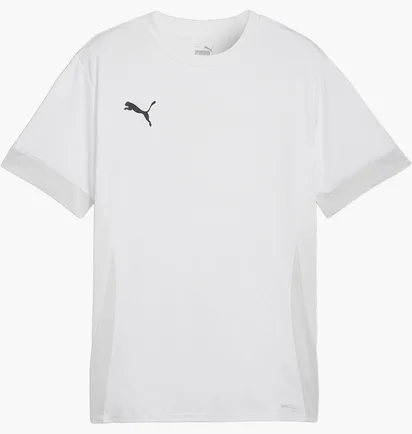 Футболка чоловіча Puma Teamgoal Matchday Shirt White 705747-04