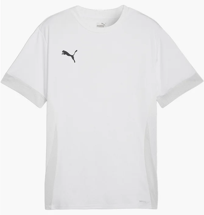 Футболка чоловіча Puma Teamgoal Matchday Shirt White 705747-04