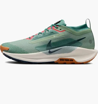 Кроссовки мужские Nike Pegasus Trail 5 Gore-Tex Green FQ0908-300