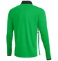 Кофта детская Nike Dri-Fit Academy 25 Drill Top Green FZ9767-329