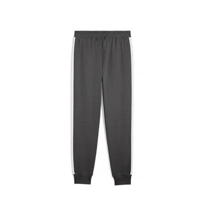 Штаны мужские Puma T7 Always On Straight Grey 629588-44