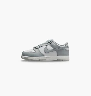 Кросівки дитячі Nike Dunk Low Grey/White FB9108-123