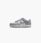 Кросівки дитячі Nike Dunk Low Grey/White FB9108-123